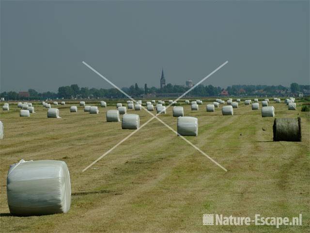 Plastic balen kuilgras Assendelft