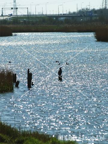 Water langs Aagtendijk en A22