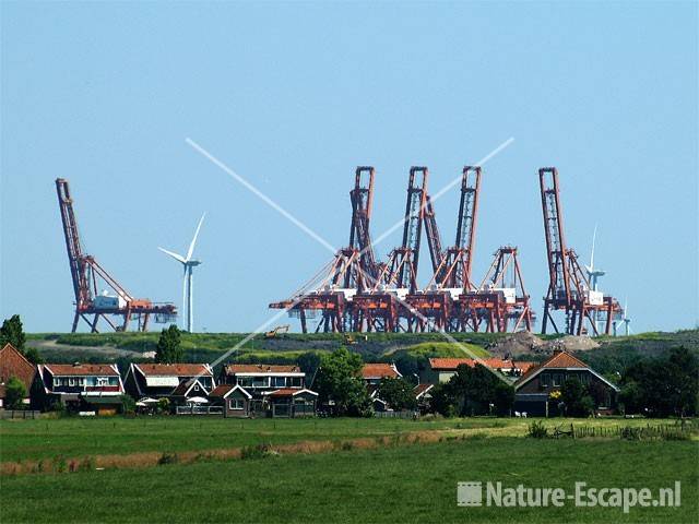 Ceres terminal Havengebied Amsterdam