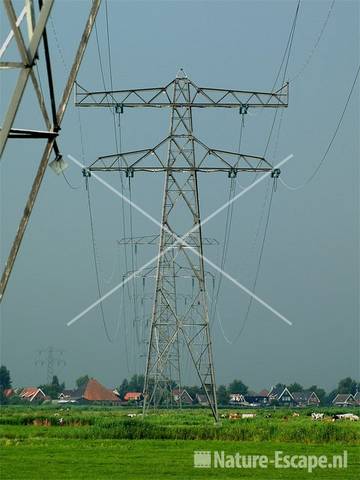 Hoogspanningsmasten Krommenieër Woudpolder