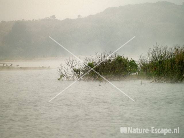 Vogelmeer in de mist NPZK