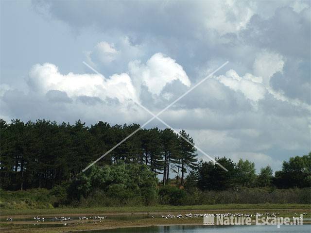 Wolken boven Vogelmeer NPZK1