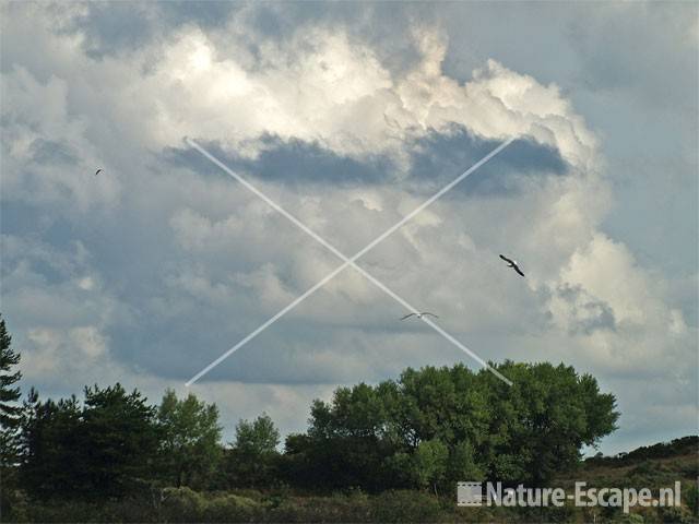 Wolken boven Vogelmeer NPZK5