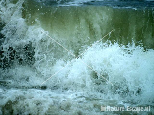 Noordzee vanaf Hondsbossche Zeewering