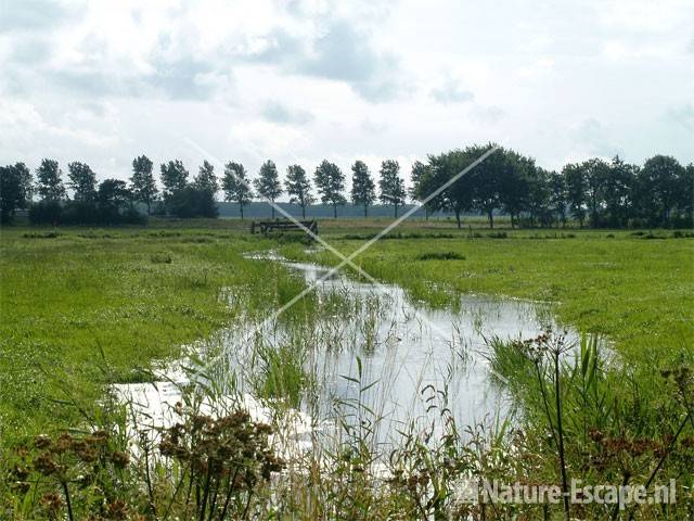 Volle sloot Haverland Assendelft 1