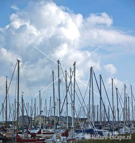 Jachthaven bij Robbenoordbos 2