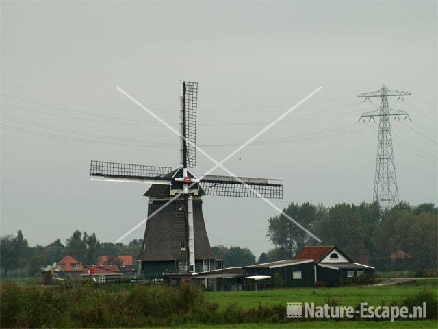 De Woudaap Krommenieër Woudpolder 2