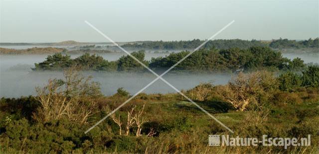 Duinlandschap in grondmist NPZK1