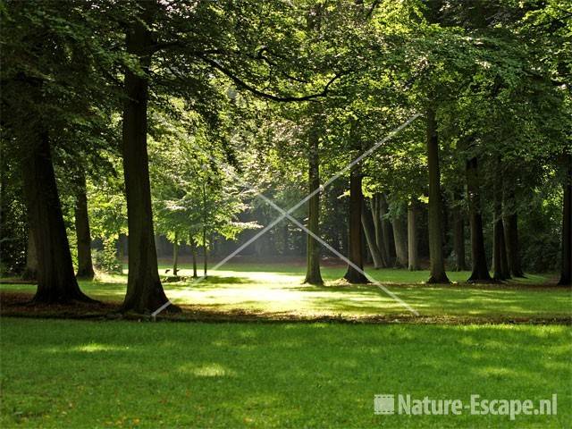 Lichtspel in Velserbeek 3