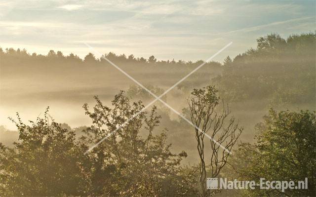 Mist en opkomende zon NPZK4