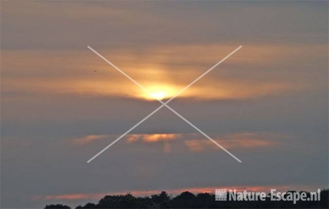 Ondergaande zon tuindersgebied Heemskerk 11