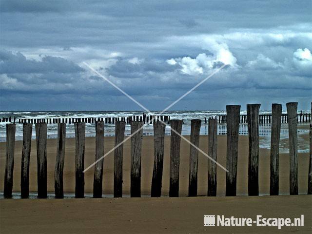 Palen op strand bij Kerf Schoorl 8