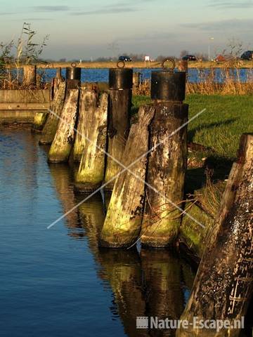 Aanlegpalen haventje Scouting Centrum De Stierop Marken-Binnen 2