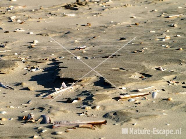 Hard zand op strand bij Noordpier 2