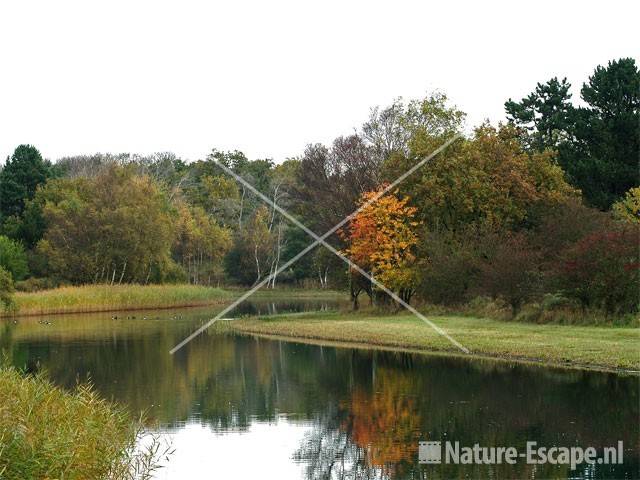 Herfstkleuren langs infiltratiekanaal AWD3