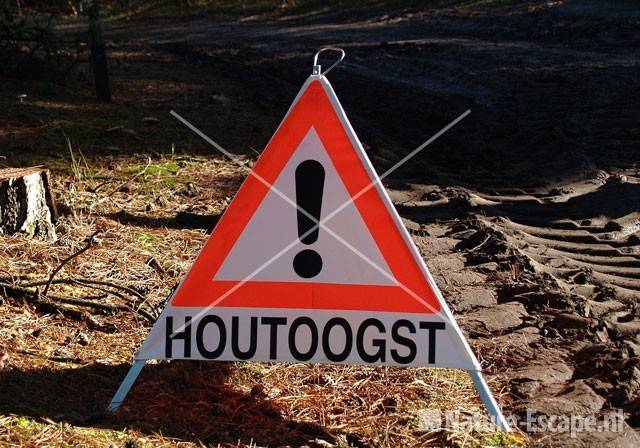 Waarschuwing houtoogst SBB Schoorl