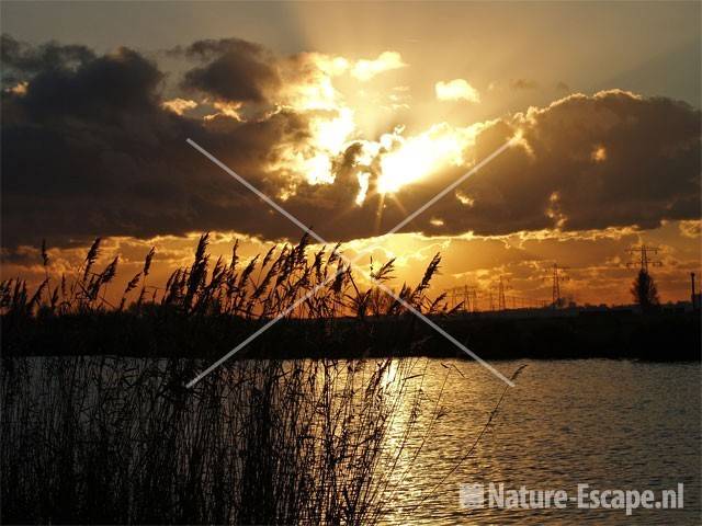 Zon door dreigende wolken Krommeniedijk 8