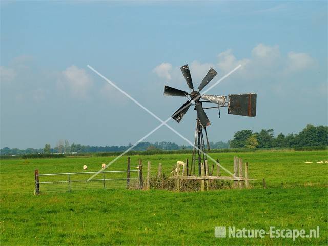 Metalen watermolentje Wormer- en Jisperveld 1