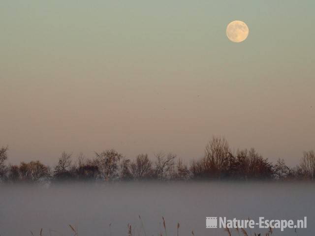 De maan en dooimist bij Zwaansmeerpad1