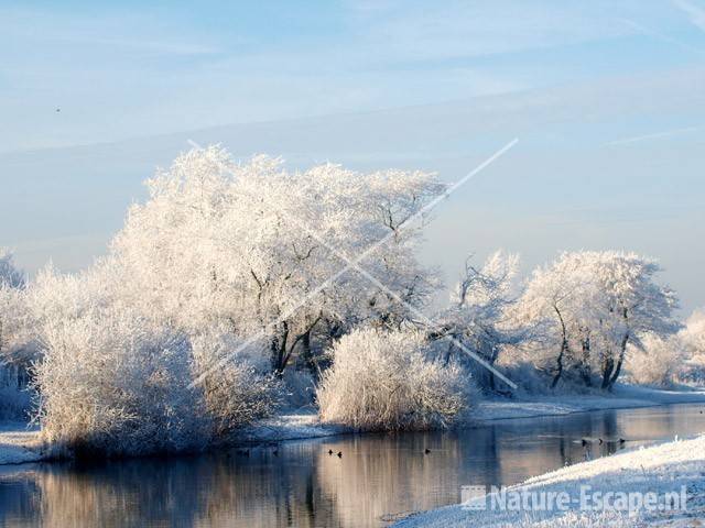 Winter langs het Zwarteveldkanaal AWD1