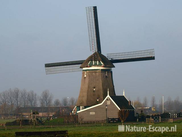 Tweede Broekermolen, achterzijde Uitgeest 1