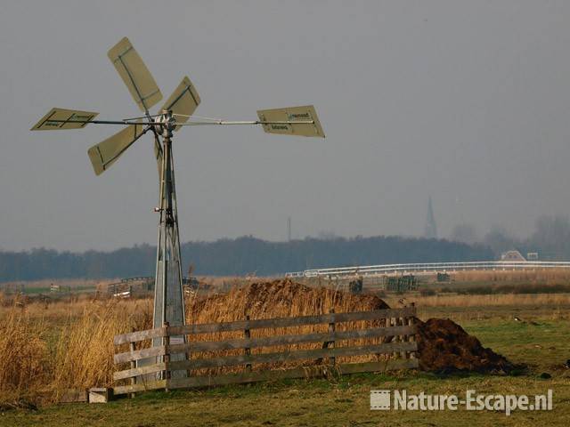 Watermolentje Zwaansmeerpad 2