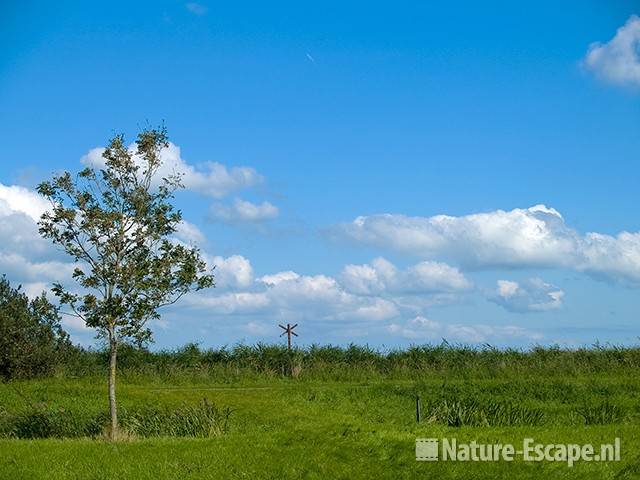 Landschap langs het Zwaansmeerpad 1