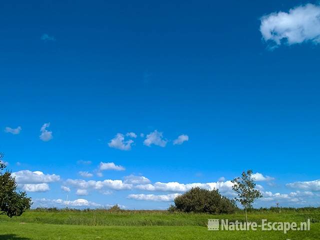 Landschap langs het Zwaansmeerpad 2