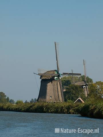 Molens langs Ringvaart bij Oterleek 4