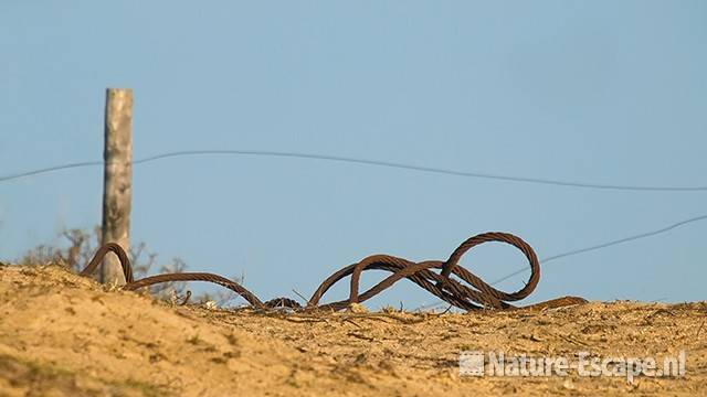 Staalkabel in het duin AWD1