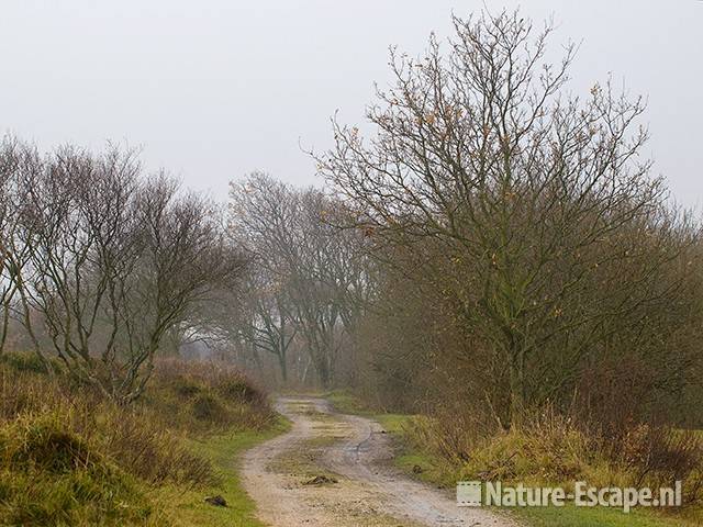 Wandelpad in Zwanenwater Zww1