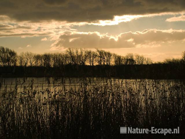 Hoefijzermeer bij tegenlicht NHD Castricum 2 121208