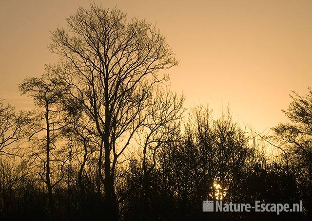 Opkomende zon AWD1 240109