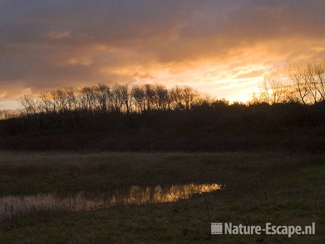 Zonsopkomst NHD Heemskerk2 121208