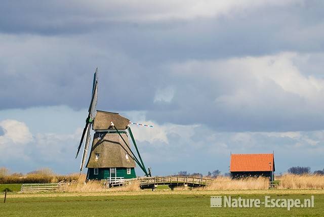 Dorregeester molen, Uitgeest  2 290309