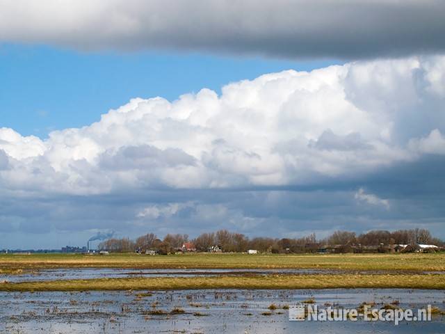 Hooge Weide Castricummerpolder 1 290309