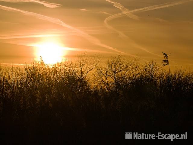 Ondergaande zon bij Hoefijzermeer NHD Castricum 1 180309