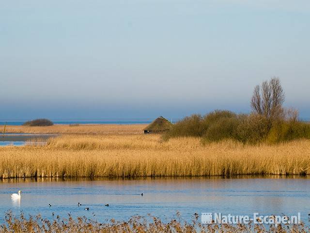 Zuidwaard, bij Makkum en Piaam, observatiehut Ral 1 200309