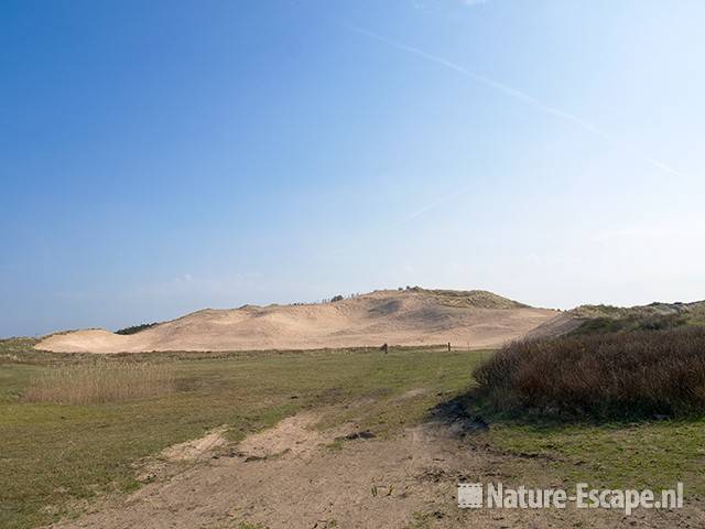 Het duin mag weer wandelen, stuiven, NHD Heemskerk 1 110409