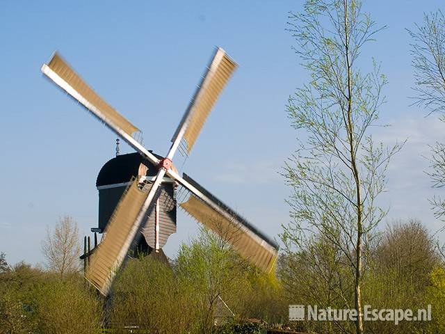 Vlietmolen met draaiende wieken, Zouweboezem 1 100409 