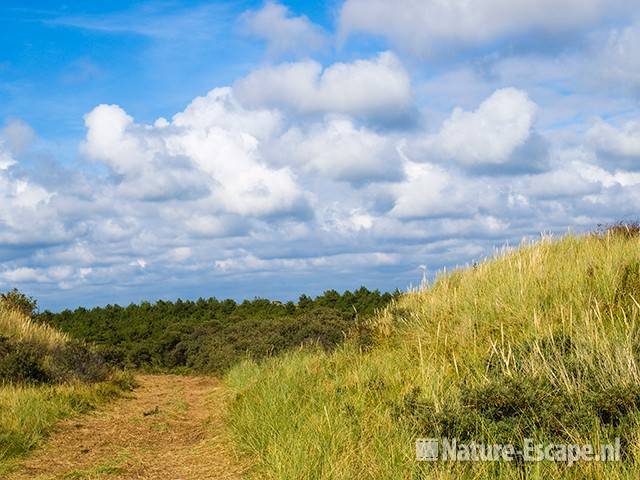 Duinlandschap met wolkenlucht, NHD Egmond 1 110809 