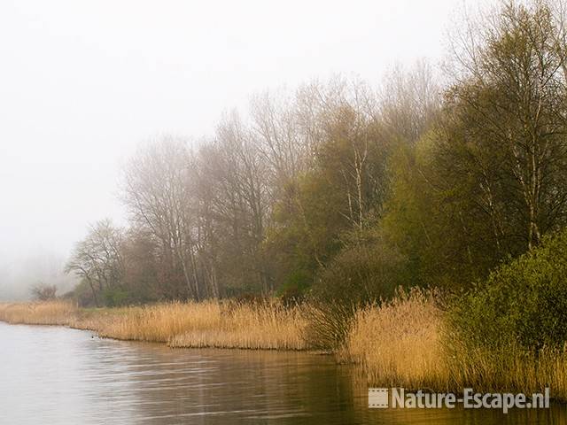 Bomen langs mistig infiltratiekanaal, AWD1 130409