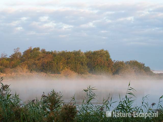 Hoefijzermeer, in ochtendmist, NHD Castricum 4 260909