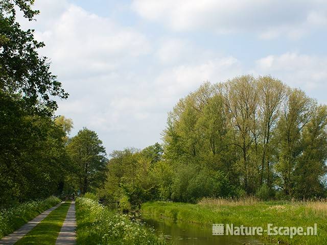 Landschap langs Westbroekroute 1 020509