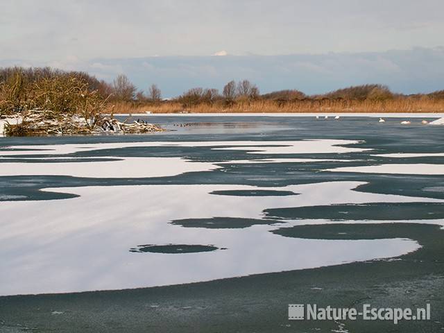 Patronen van sneeuw op het Hoefijzermeer, NHD Castricum 3 020110