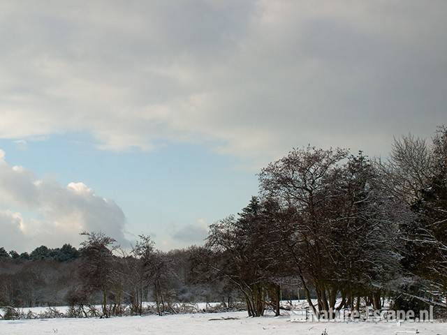 Landschap bij de Kruisberg, sneeuw, NHD Heemskerk 2 300110