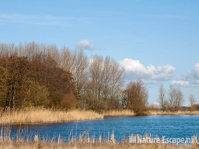 Landschap bij de Oeverlanden aan de Liede 1 210310