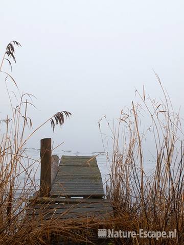 Steigertje, in de mist, bij Uitgeestermeer, Zwmp1 060210