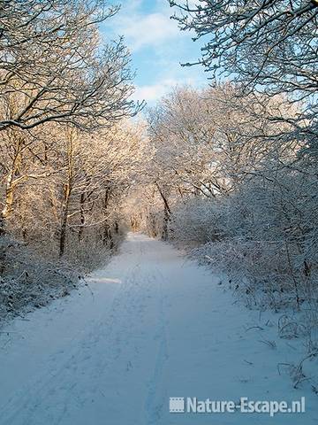 Wandelpad, sneeuw, NHD Heemskerk1 300110