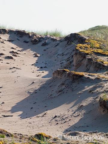 Stuifgat in de duinen, NHD Egmond 1 110810